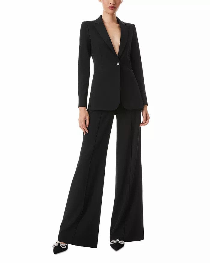 solovedress 2 Piece Business Casual Women's Suit (Blazer+Pants)