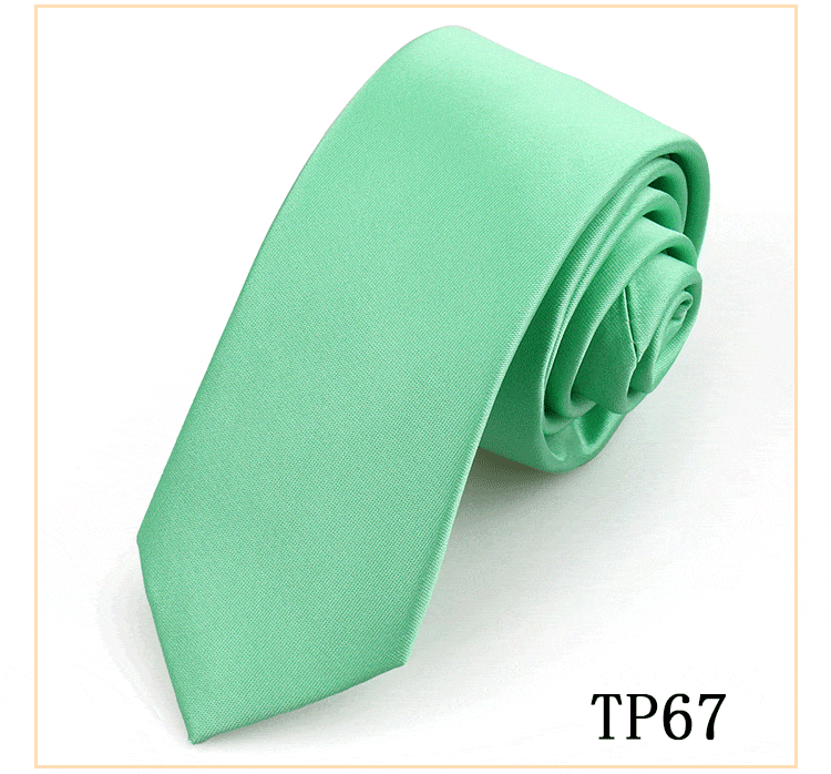 solovedress Women's Business Microfiber Waterproof Solid Color Satin Tie