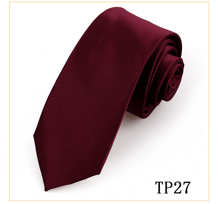 solovedress Women's Business Microfiber Waterproof Solid Color Satin Tie