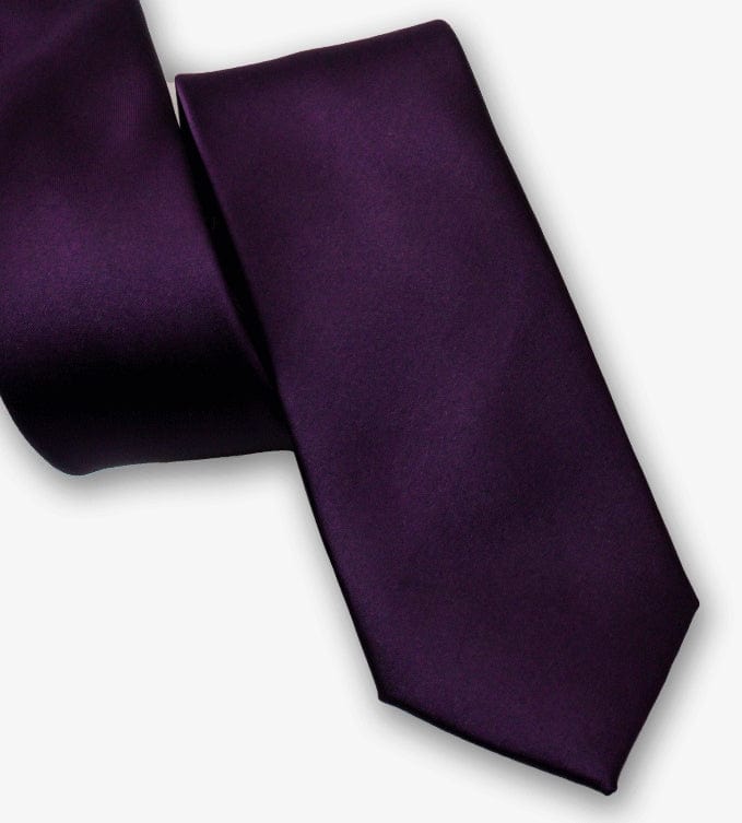 solovedress Women's Business Microfiber Waterproof Solid Color Satin Tie