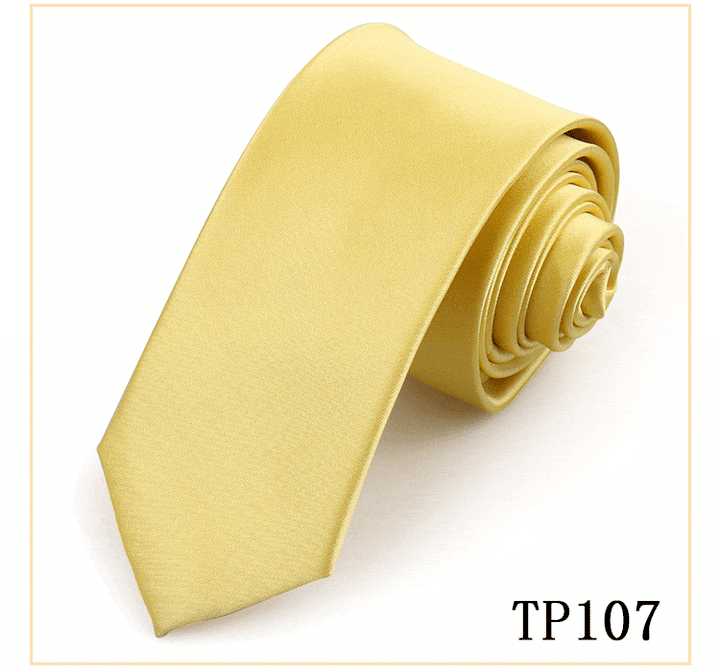solovedress Women's Business Microfiber Waterproof Solid Color Satin Tie